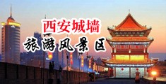 小骚逼黄片免费中国陕西-西安城墙旅游风景区